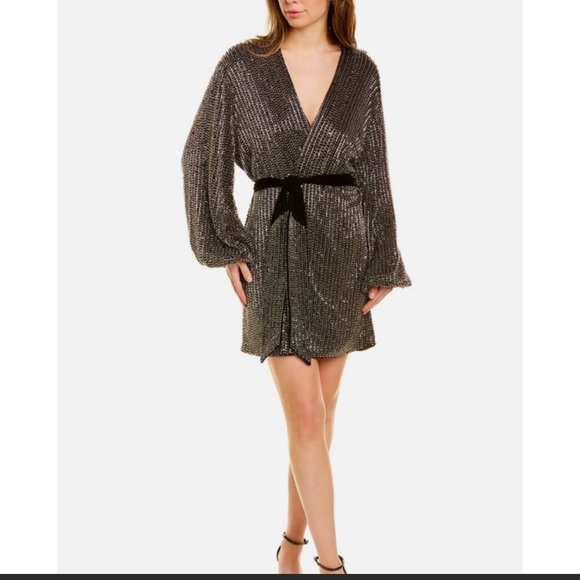 RETROFETE Gabrielle Velvet-trimmed Beaded Chiffon Mini Wrap Dress in Silver - Picture 6 of 9